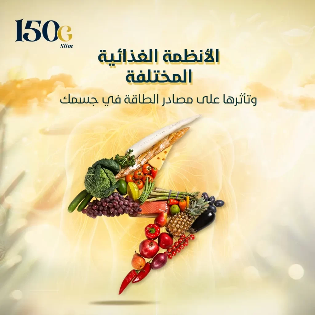 تأثير الأنظمة الغذائية المختلفة على مصادر الطاقة في الجسم