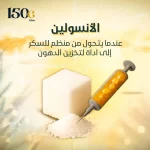 الإنسولين عندما يتحوّل من منظم للسكر إلى أداة لتخزين الدهون
