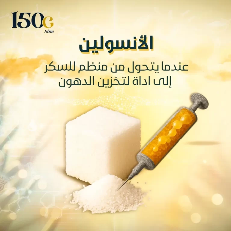 الإنسولين عندما يتحوّل من منظم للسكر إلى أداة لتخزين الدهون