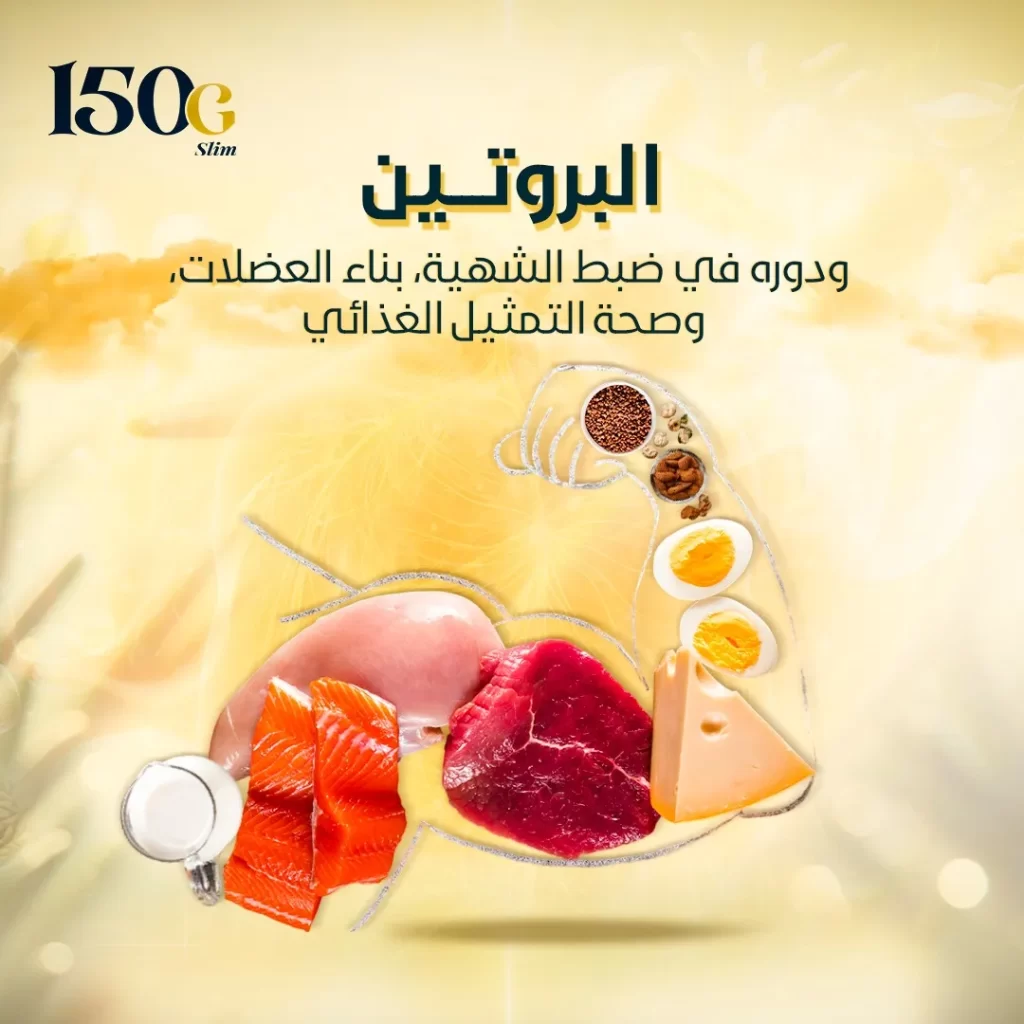 البروتين ودوره في ضبط الشهية وبناء العضلات وصحة التمثيل الغذائي