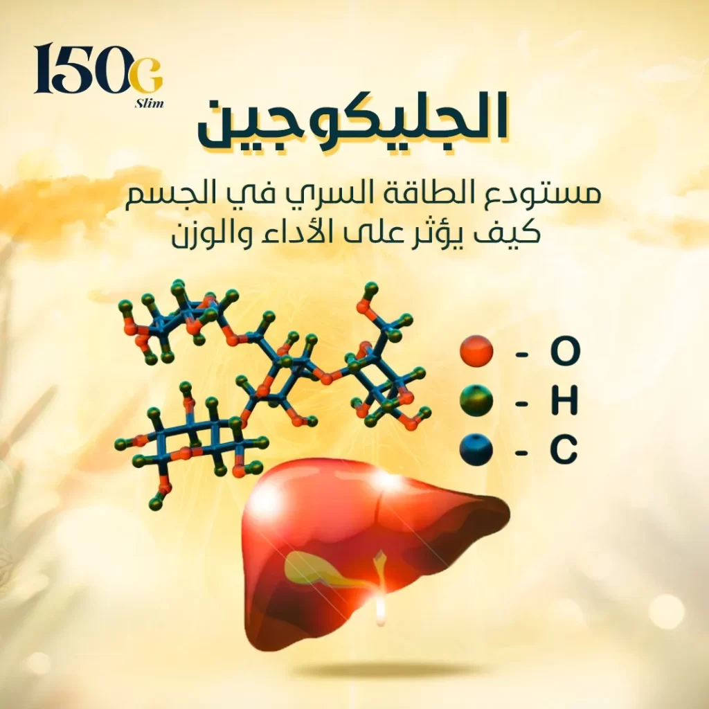الجليكوجين: مستودع الطاقة السري في الجسم – كيف يؤثر على الأداء والوزن