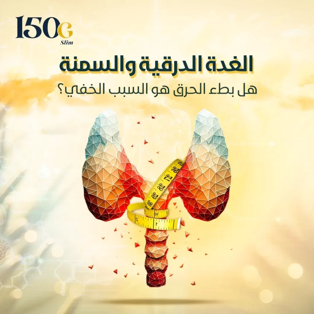 الغدة الدرقية والسمنة: هل بطء الحرق هو السبب الخفي؟ حبوب التنحيف التركية 150G Slim الغدة الدرقية والسمنة: هل بطء الحرق هو السبب الخفي؟