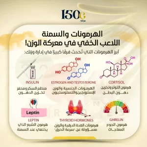 الهرمونات والسمنة: كيف تتحكم كيمياء جسمك في وزنك دون أن تشعر؟