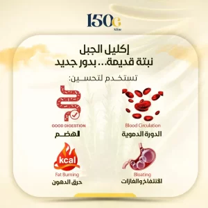 إكليل الجبل: ليس مجرد توابل! سرٌ لتنشيط الدورة الدموية وحرق الدهون