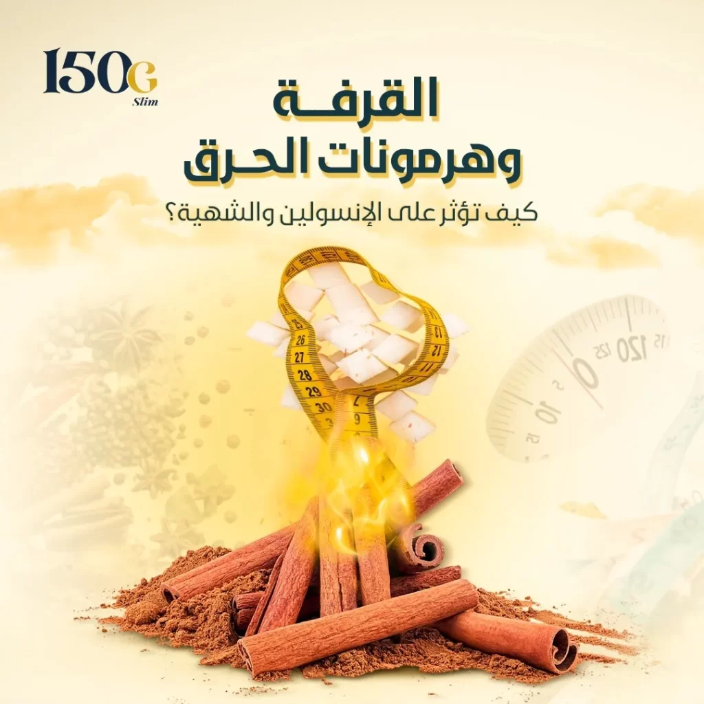 القرفة وهرمونات الحرق: كيف تؤثر على الإنسولين والشهية؟ حبوب التنحيف التركية 150G Slim القرفة وهرمونات الحرق: كيف تؤثر على الإنسولين والشهية؟