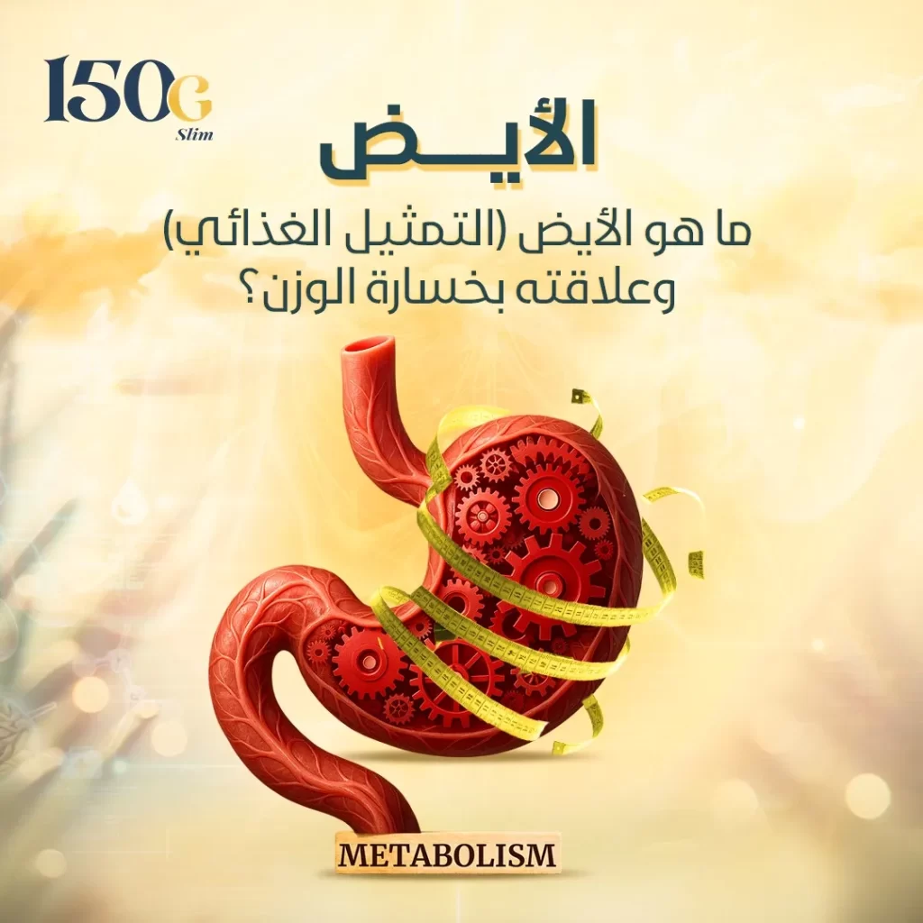ماهو الأيض وماعلاقته في خسارة الوزن