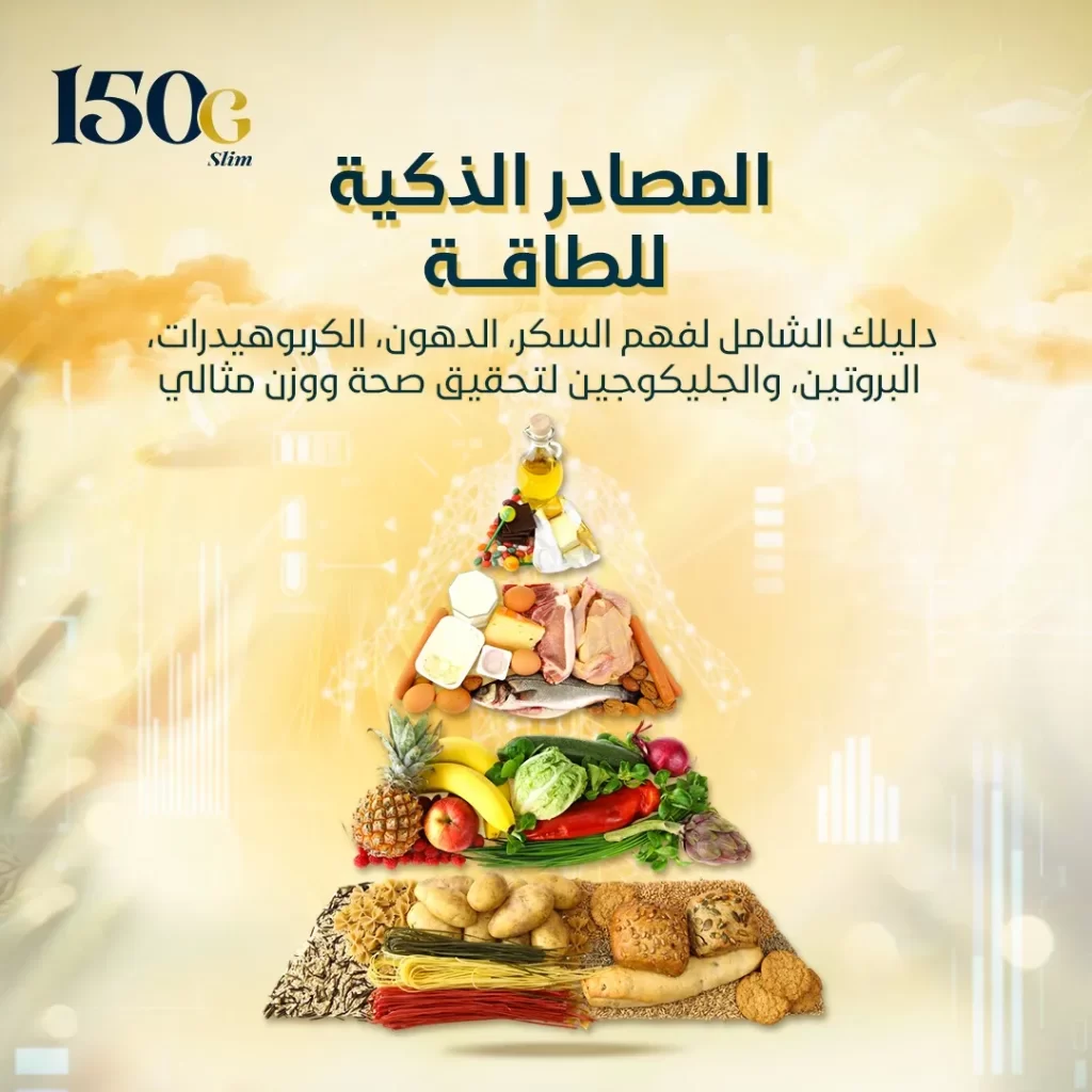 مصادر الطاقة للجسم: دليلك الشامل لفهم السكر، الدهون، الكربوهيدرات، البروتين، والجليكوجين لتحقيق صحة ووزن مثالي