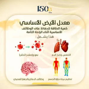 ما هو الأيض (التمثيل الغذائي) وعلاقته بخسارة الوزن - دليل شامل
