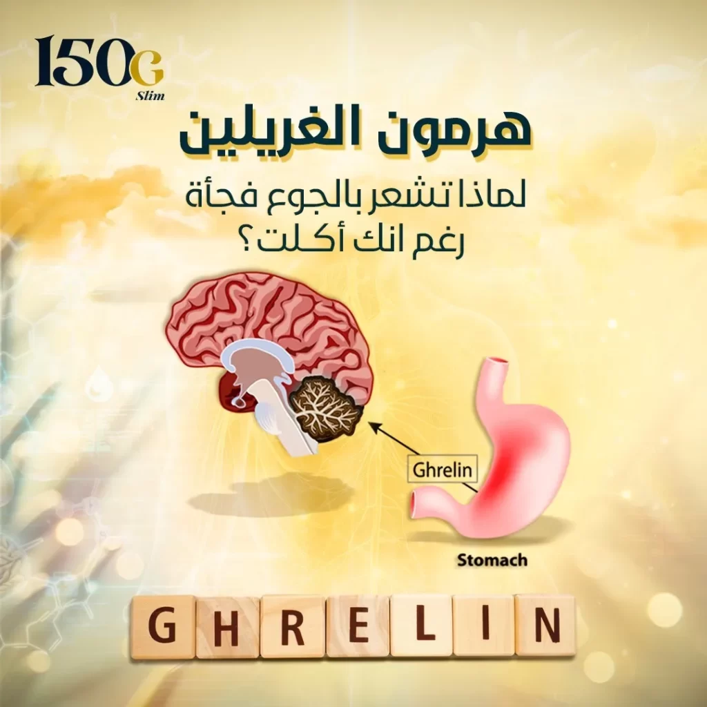 هرمون الغريلين: لماذا تشعر بالجوع فجأة رغم أنك أكلت؟ حبوب التنحيف التركية 150G Slim هرمون الغريلين: لماذا تشعر بالجوع فجأة رغم أنك أكلت؟