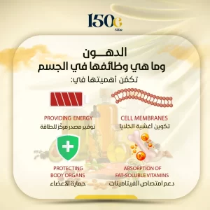 الدهون وأنواعها وتأثيرها على الصحة والطاقة وخسارة الوزن