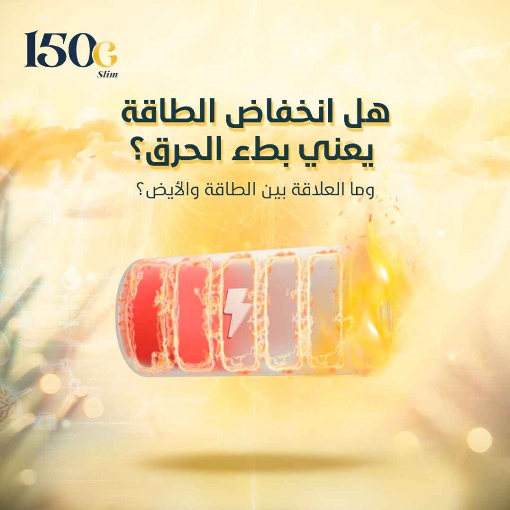 هل انخفاض الطاقة يعني بطء الحرق؟ كيف تستعيد نشاطك بدون منبهات